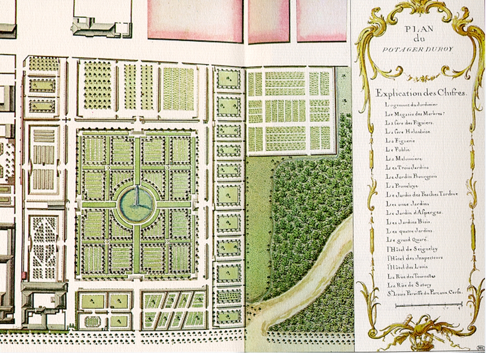 Rows of fruit trees and plants in the historic Potager du Roi